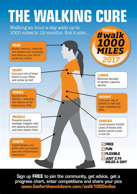 Walking an hour a day. Things To Know About Walking an hour a day. 